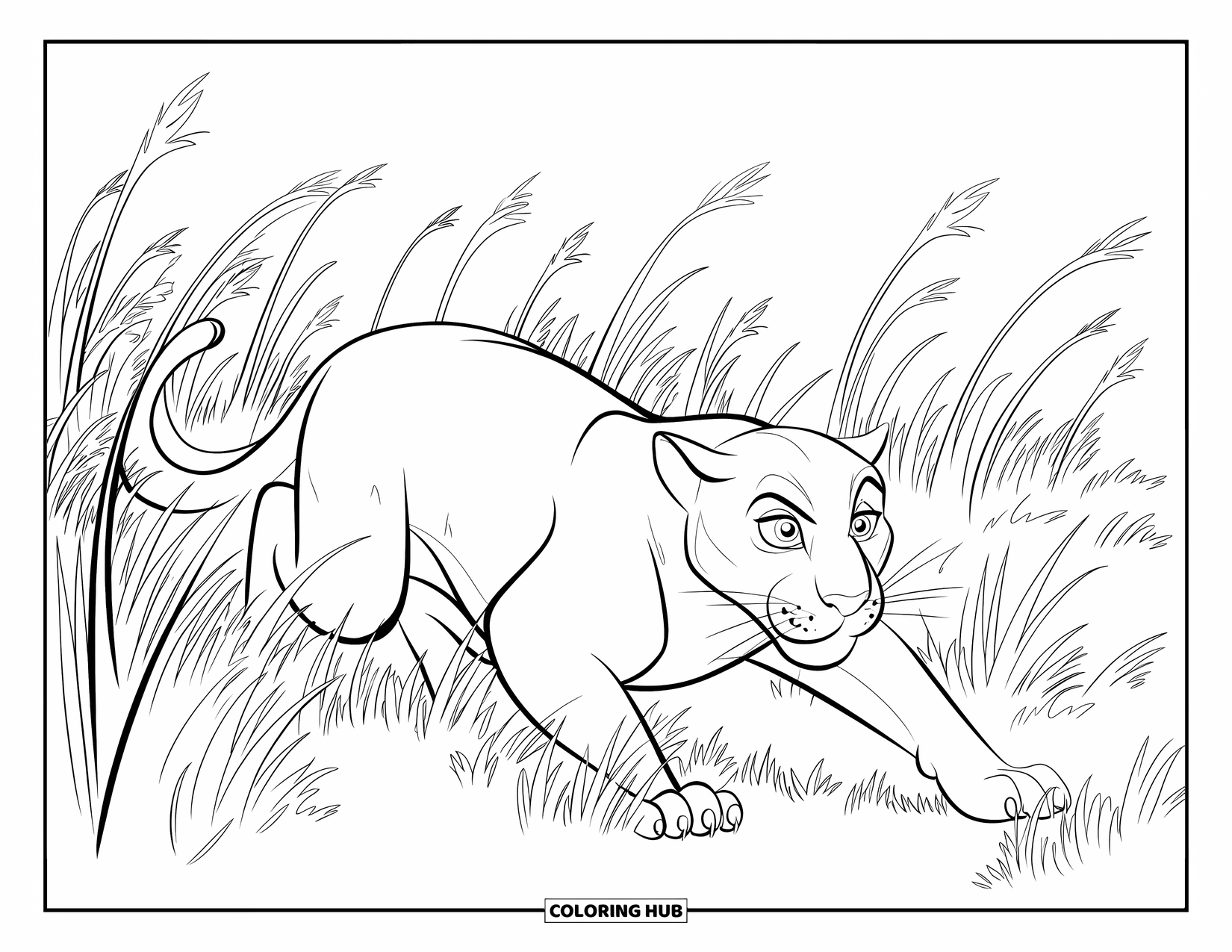 Panther Coloring Page for Kids: A crouched panther waits quietly in swaying tall grass on a wide open plain