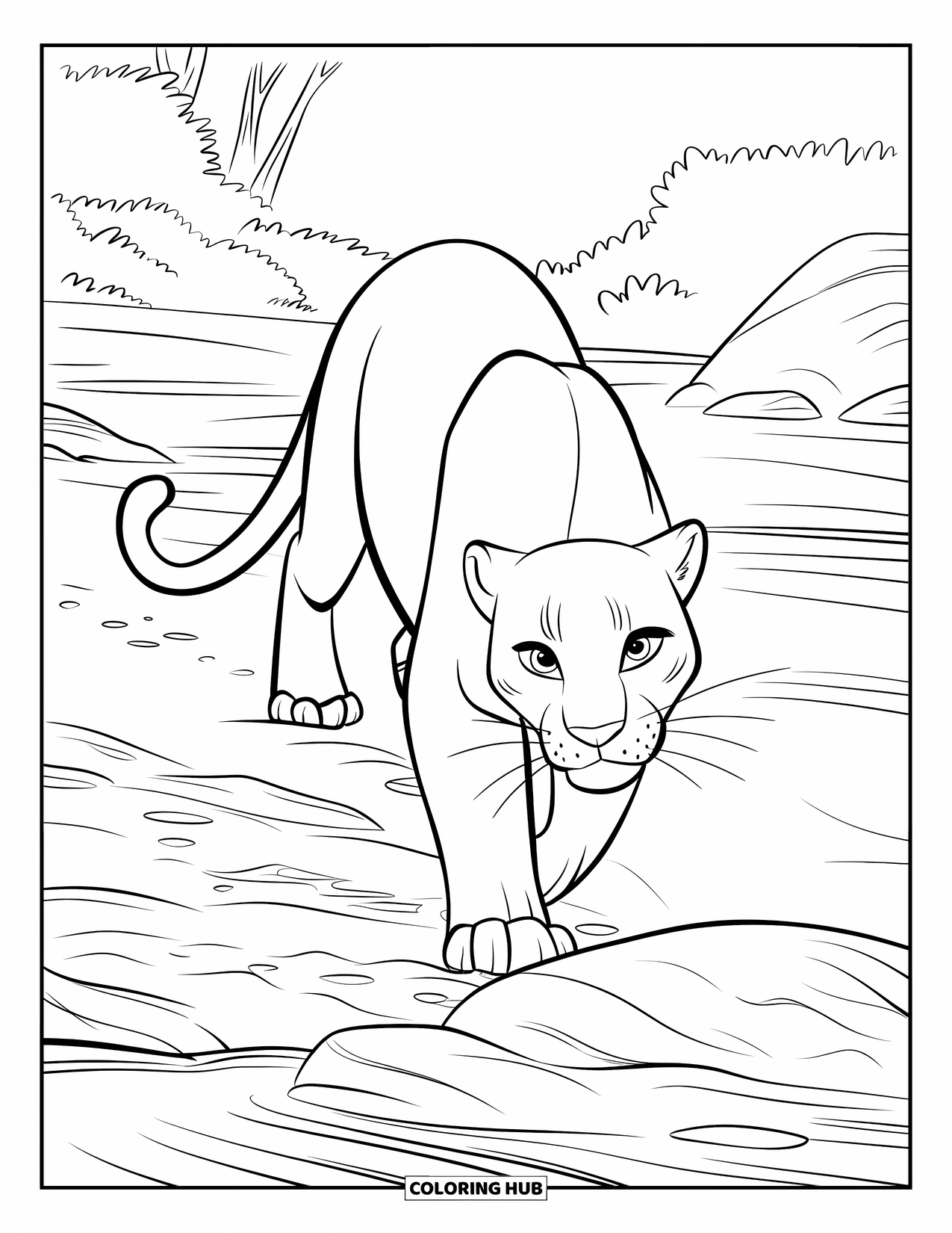 Panther Coloring Page for Kids: A panther walks along a rocky riverbank with its tail curled and eyes wide