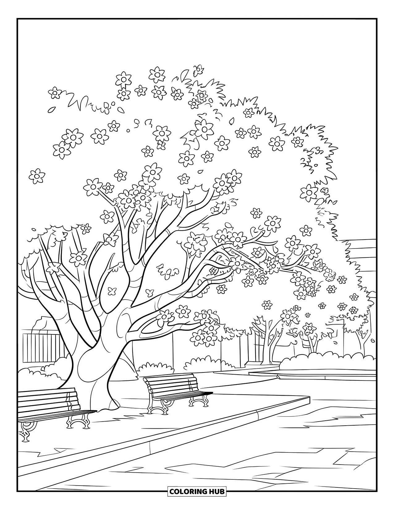 Park Coloring Page for Kids: A pink-blossomed tree near a path and benches brightens up the park