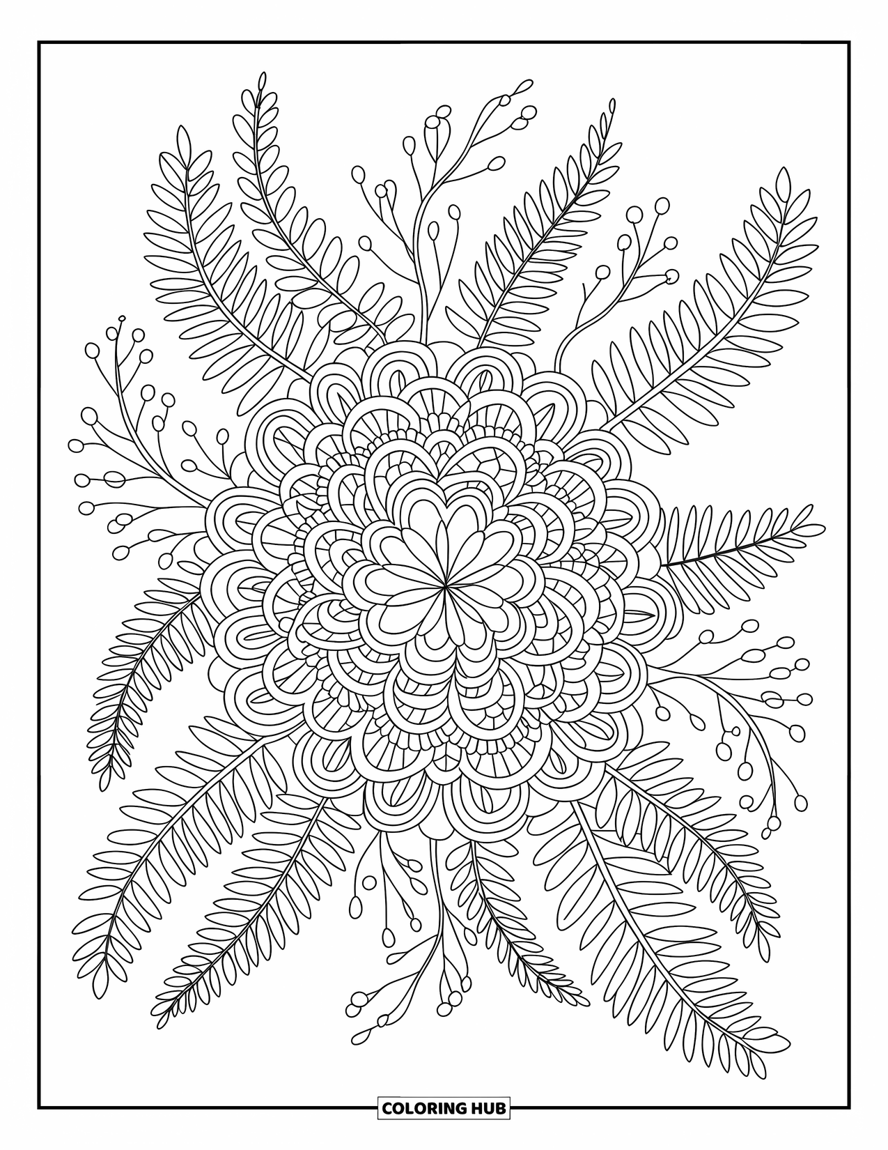 Pattern Coloring Page for Adults: Floral mandala circles combine with fern fronds and seed pods in a balanced composition