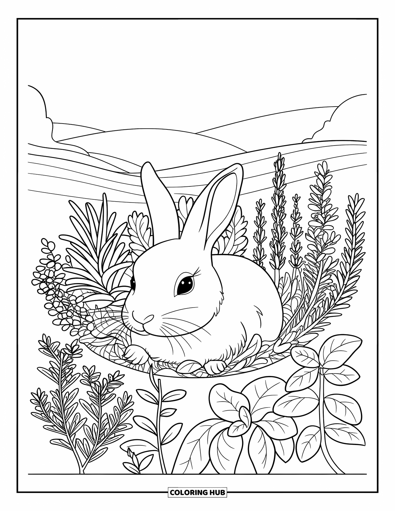 Pet Coloring Page for Adults: A bunny nestles among patterned herbs in a peaceful garden