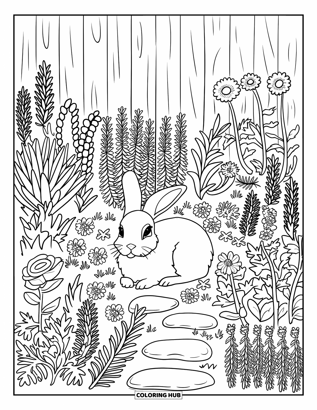 Pet Coloring Page for Adults: A content bunny sits on a stone surrounded by herbs and flowers