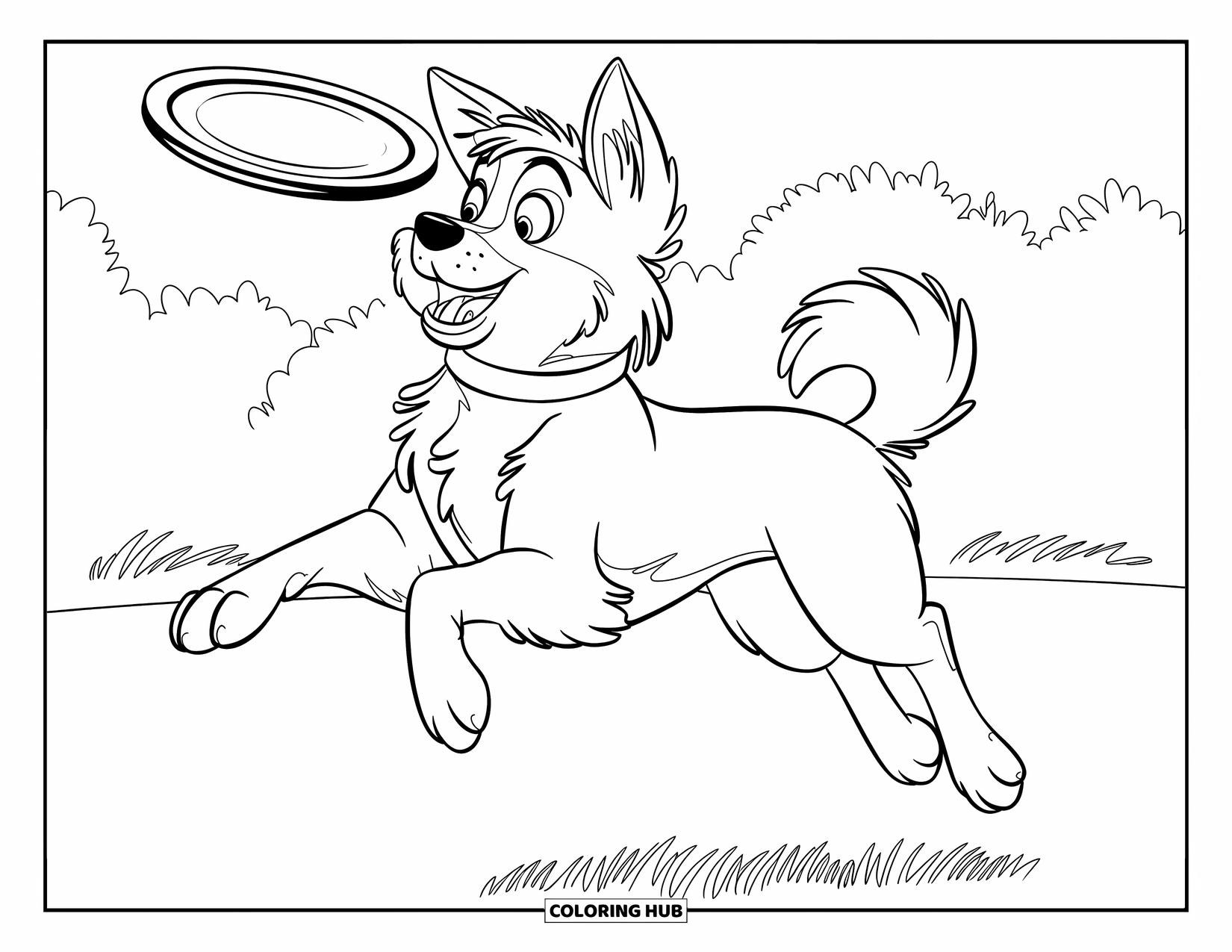 Pet Coloring Page for Kids: A fluffy dog leaps through a grassy field chasing a frisbee