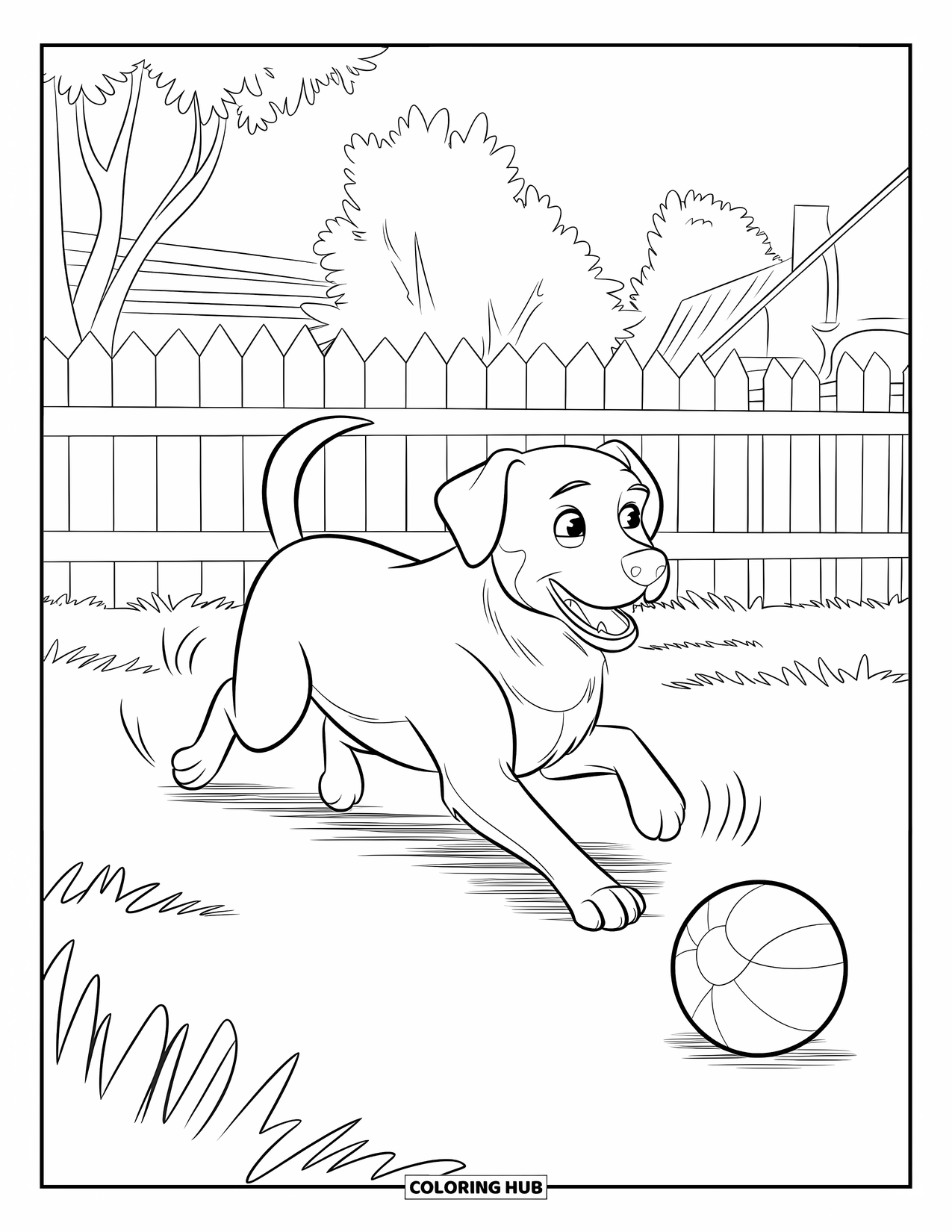 Pet Coloring Page for Kids: A Labrador runs after a ball near trees and a fence