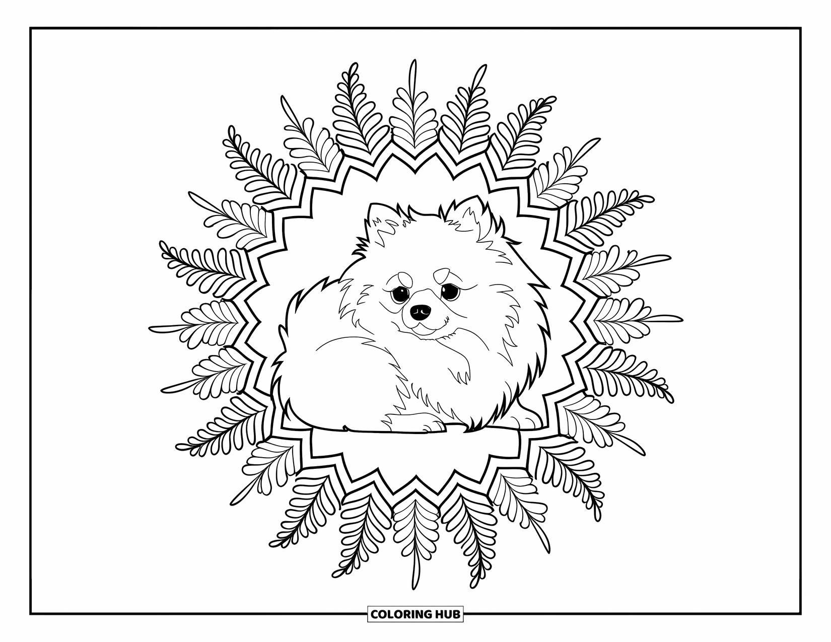Pomeranian Coloring Page for Adults: Fluffy dog sleeps in a daisy mandala with clean outlines and a white background