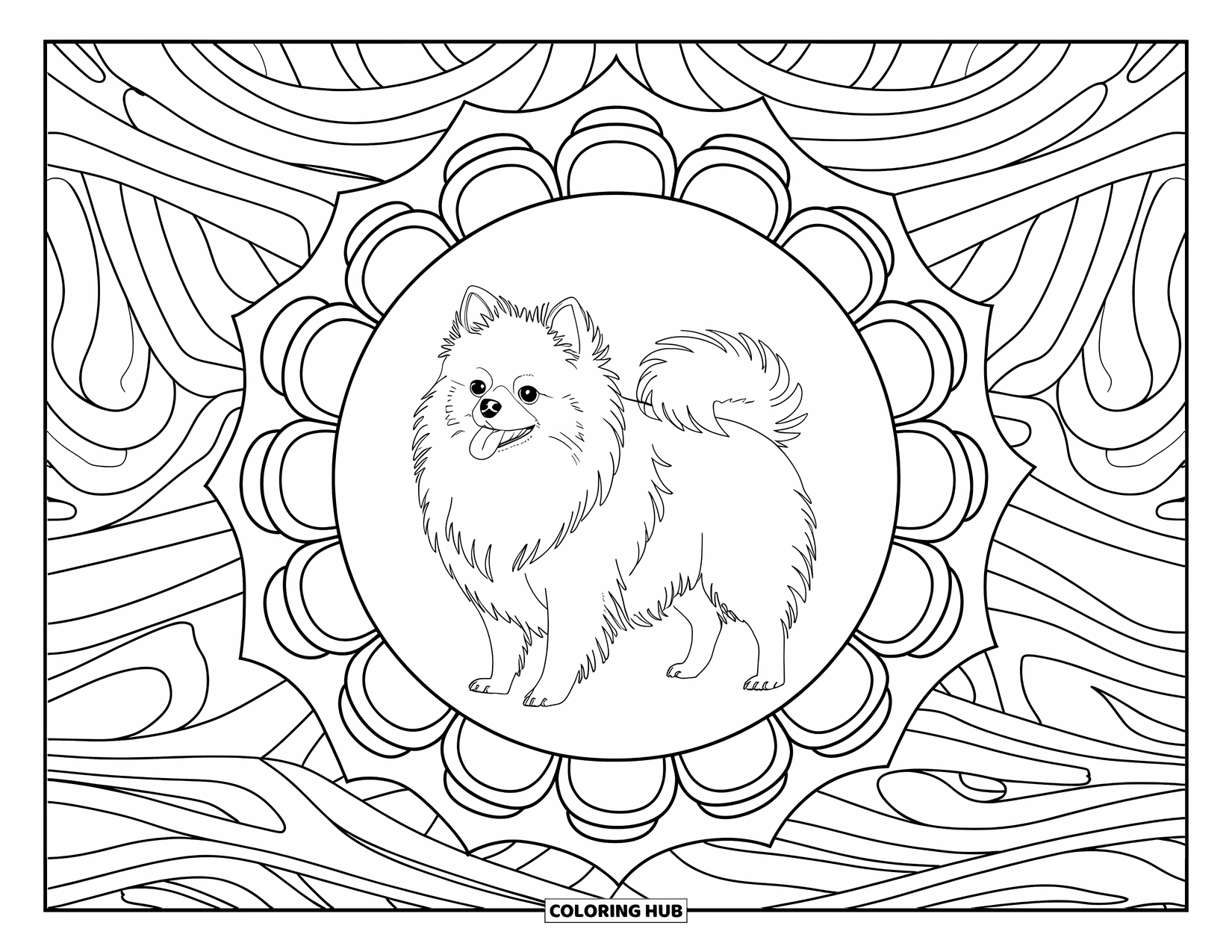 Pomeranian Coloring Page for Adults: Pomeranian poses in a mandala frame with swirling background patterns