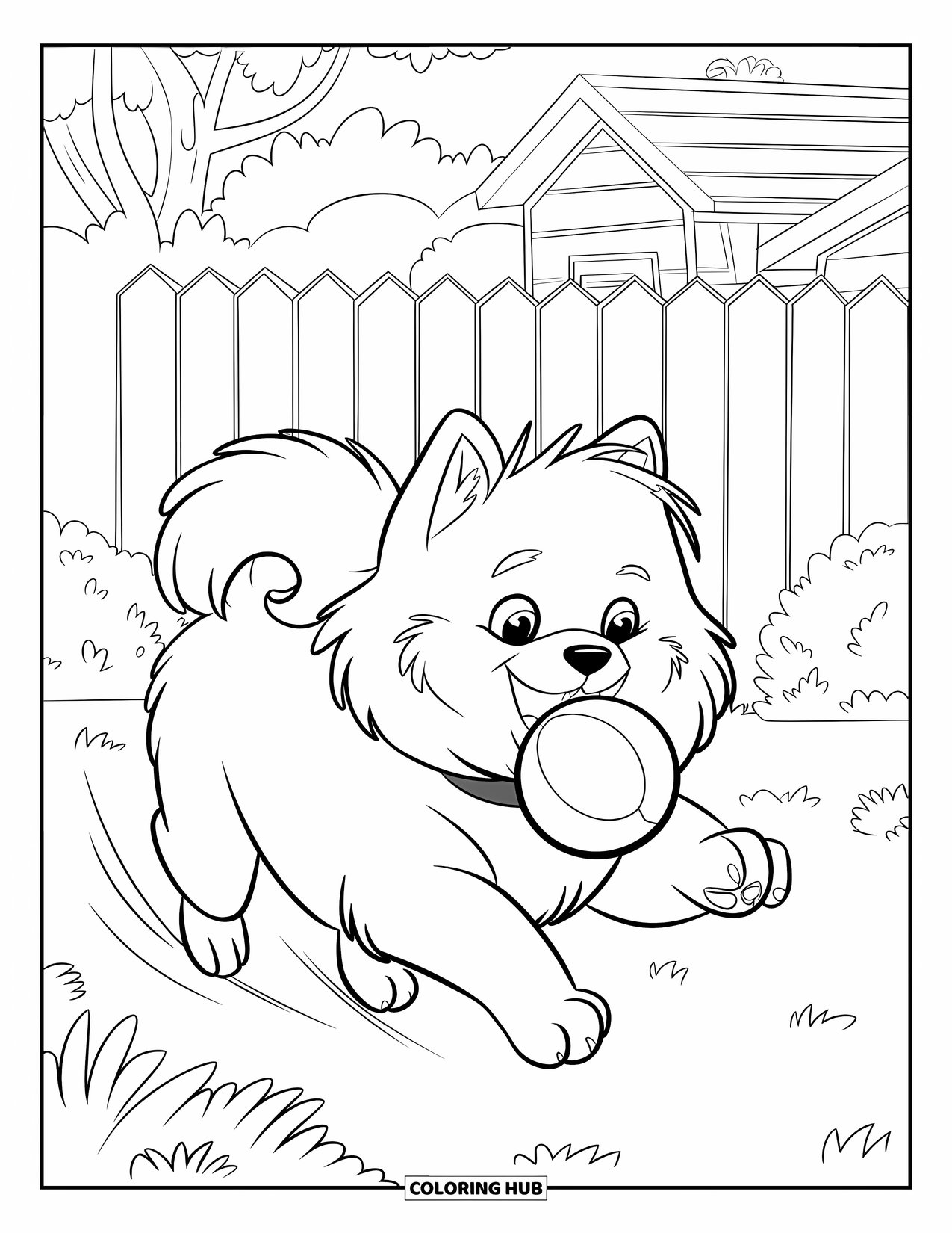 Pomeranian Coloring Page for Kids: Excited Pomeranian runs with a ball in its mouth across the yard