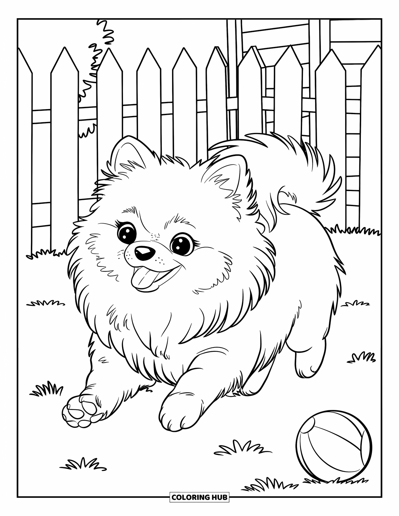 Pomeranian Coloring Page for Kids: Fluffy Pomeranian chases a ball across a cozy grassy backyard