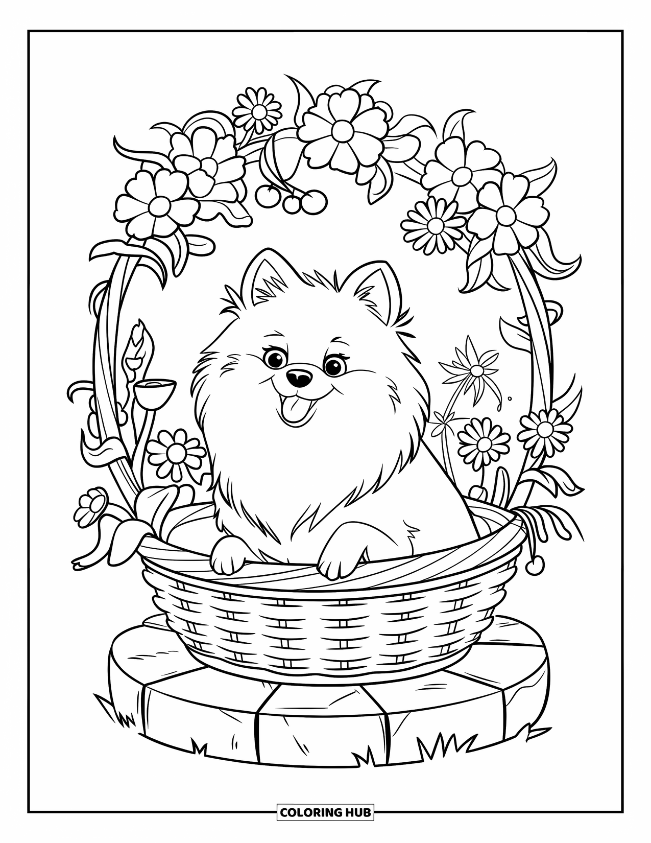Pomeranian Coloring Page for Kids: Pomeranian rests in a basket among flowers with bold, simple outlines