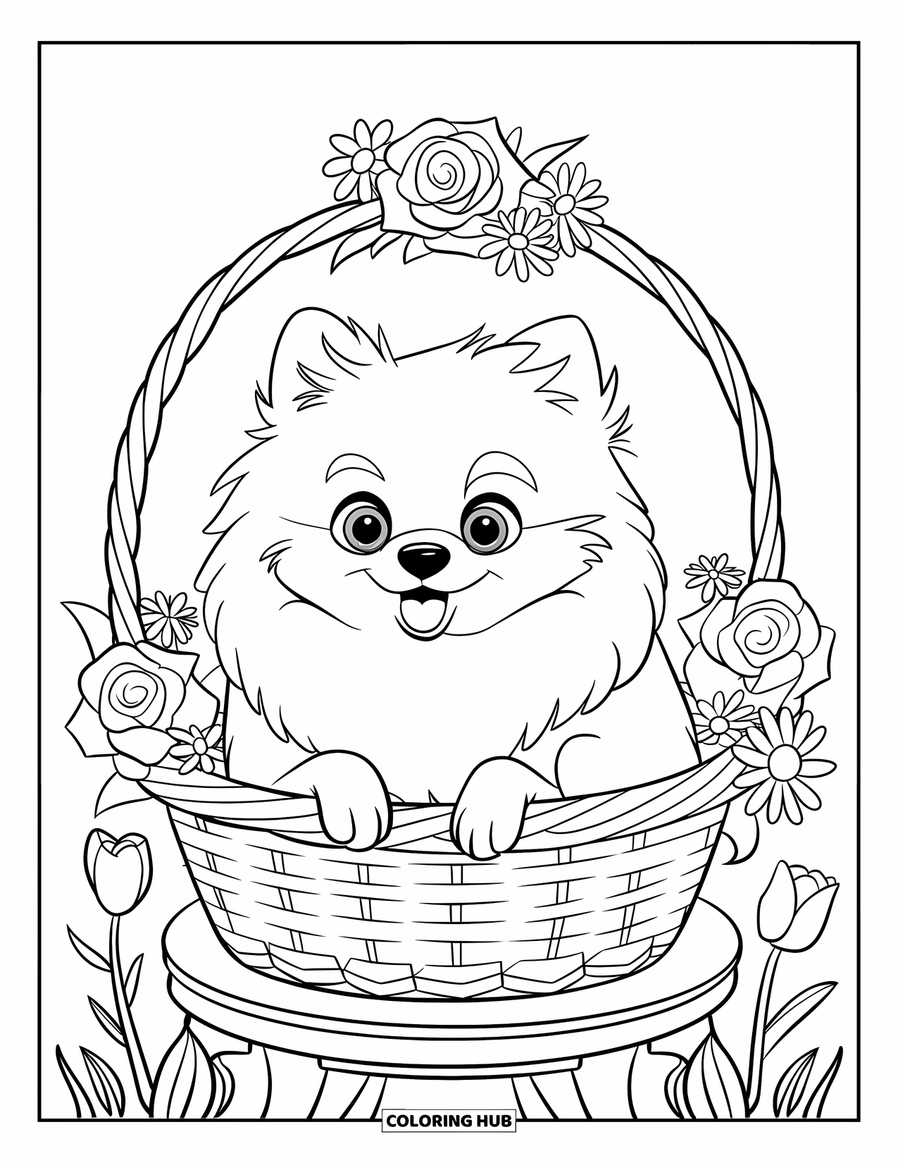 Pomeranian Coloring Page for Kids: Pomeranian sits in a basket surrounded by pretty blooming flowers