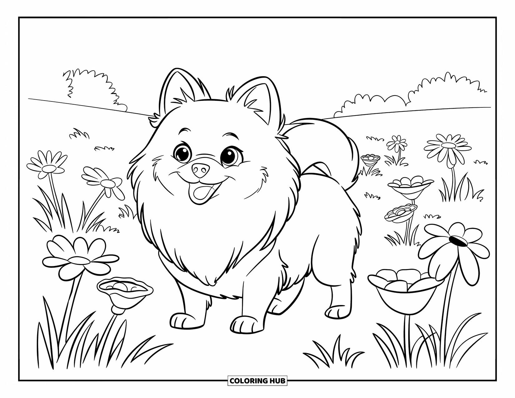 Pomeranian Coloring Page for Kids: Pomeranian stands in a flower field with perked ears and big flowers nearby