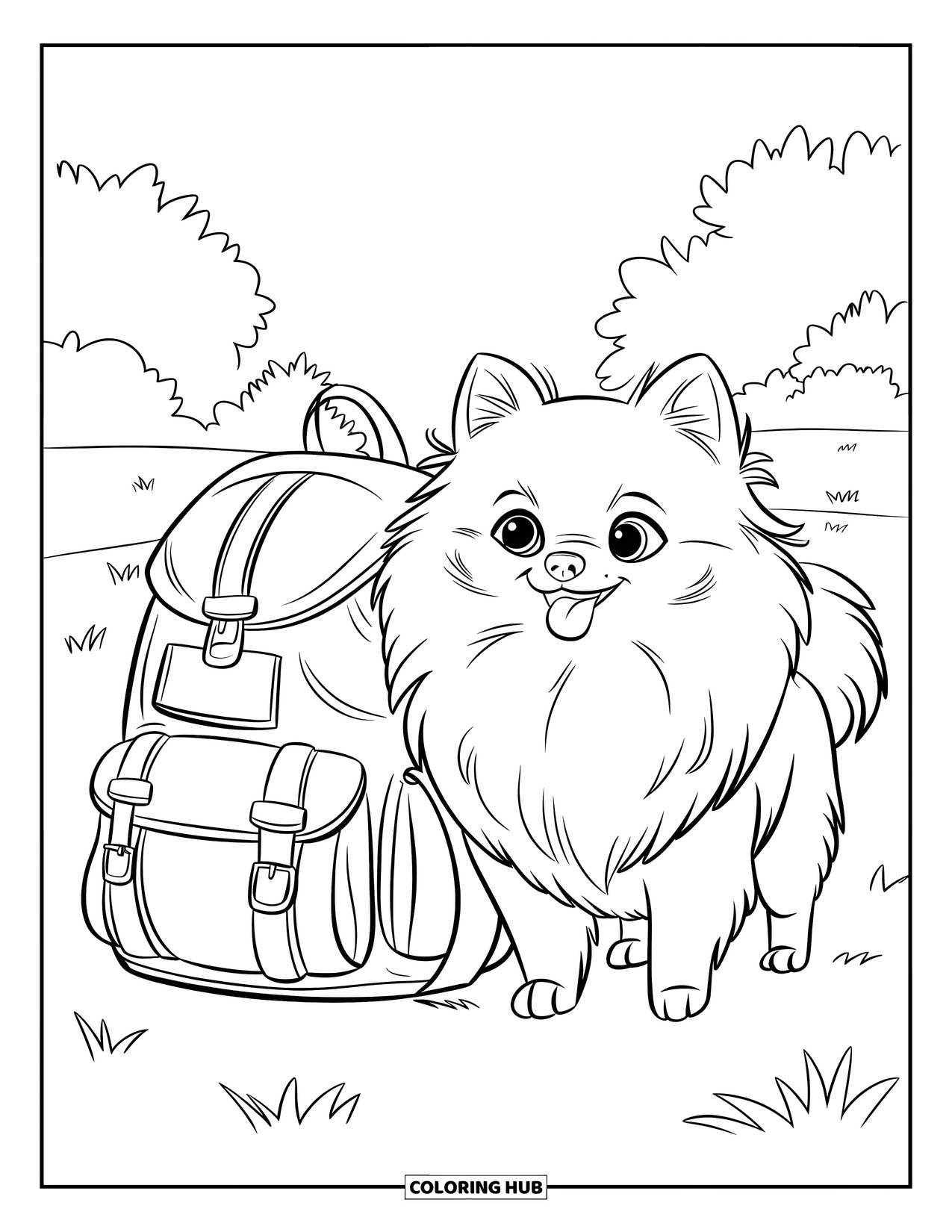 Pomeranian Coloring Page for Kids: Pomeranian stands near a backpack and walking stick in a grassy field