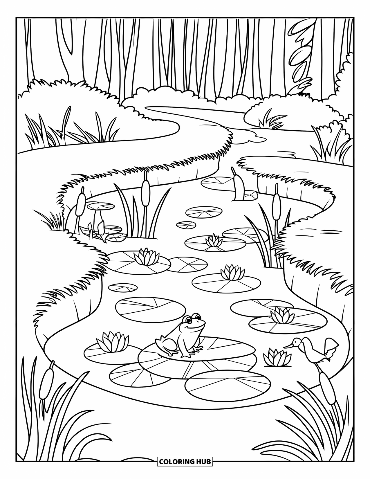 Pond Coloring Page for Kids: Ducks and lilies fill a forest pond where a frog rests on a pad