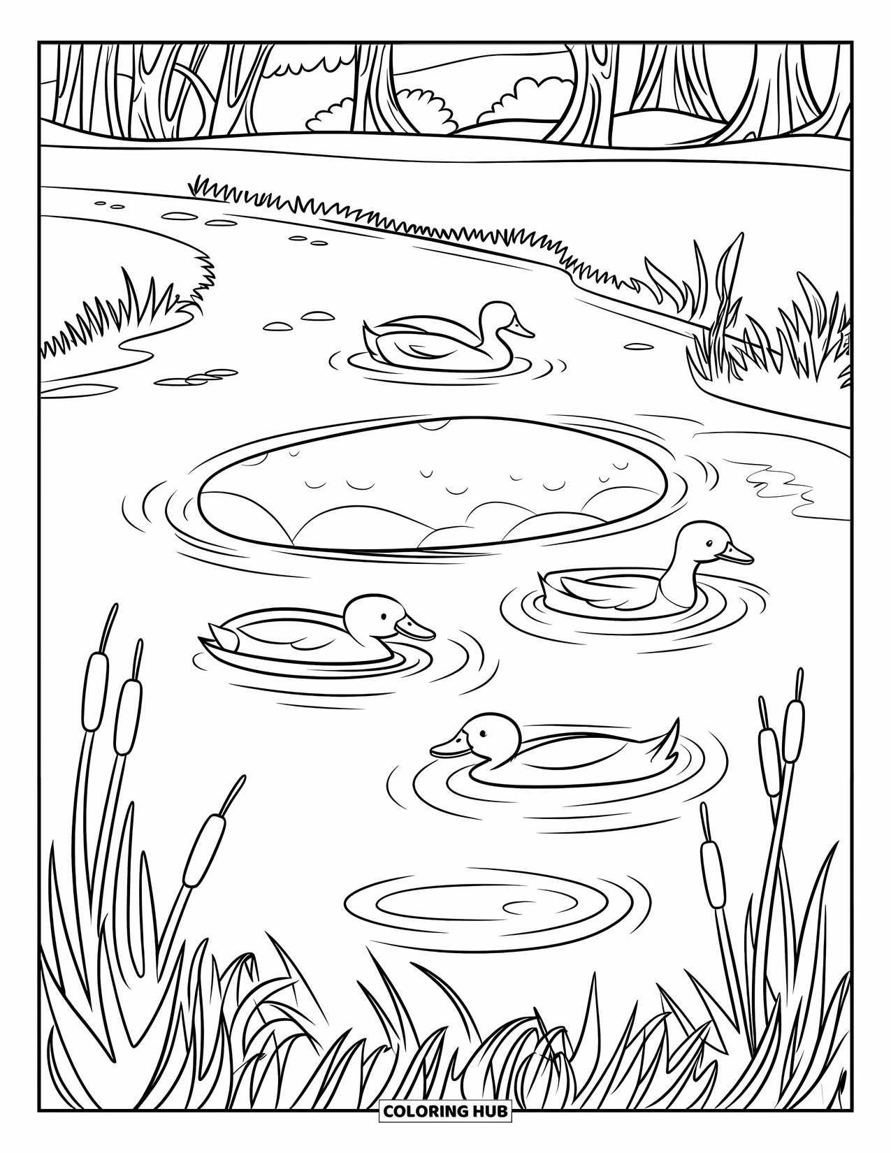 Pond Coloring Page for Kids: Ducks swim in a rippling pond shaped like a bean with a peaceful view