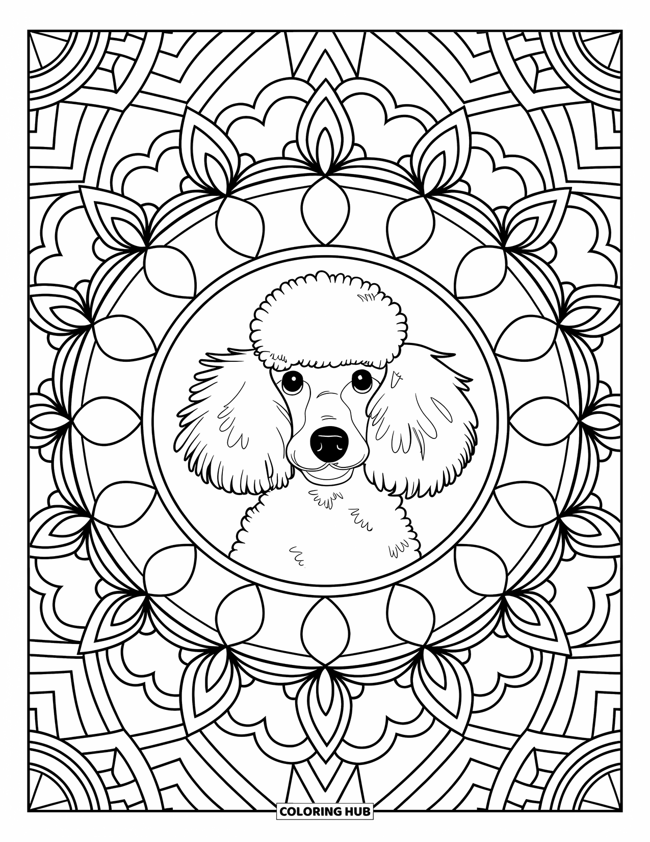 Poodle Coloring Page for Adults: A poodle's face appears in a geometric mandala filled with shapes and patterns
