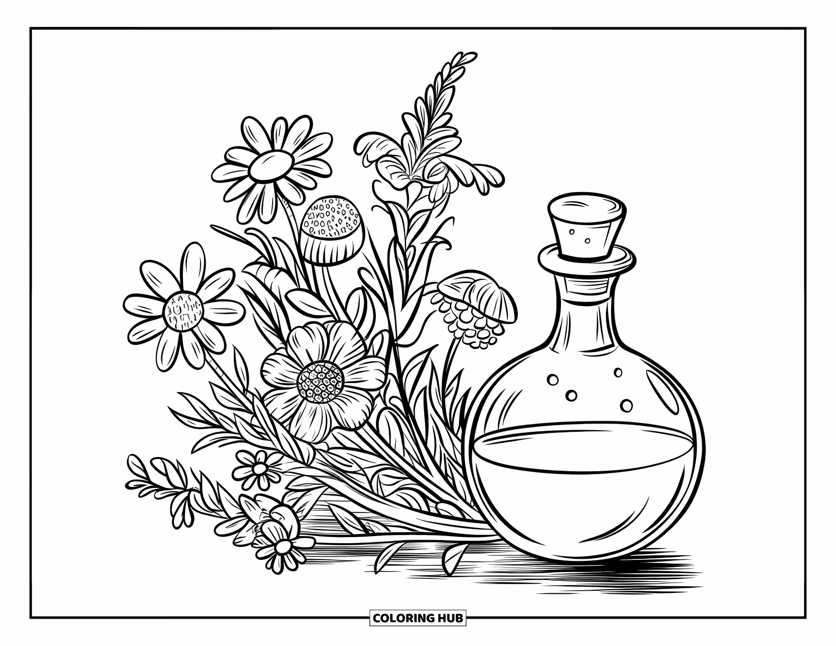 Potion Coloring Page for Kids: Ornate potion bottle with tall wildflowers of many shapes and sizes beside it