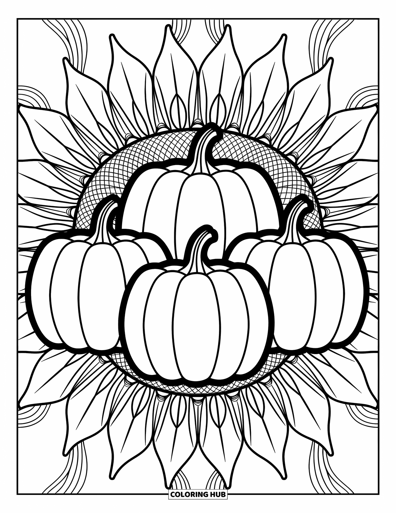 Pumpkin Patch Coloring Page for Adults: Three pumpkins sit in sunflower mandalas with soft swirling vines and elegant lines