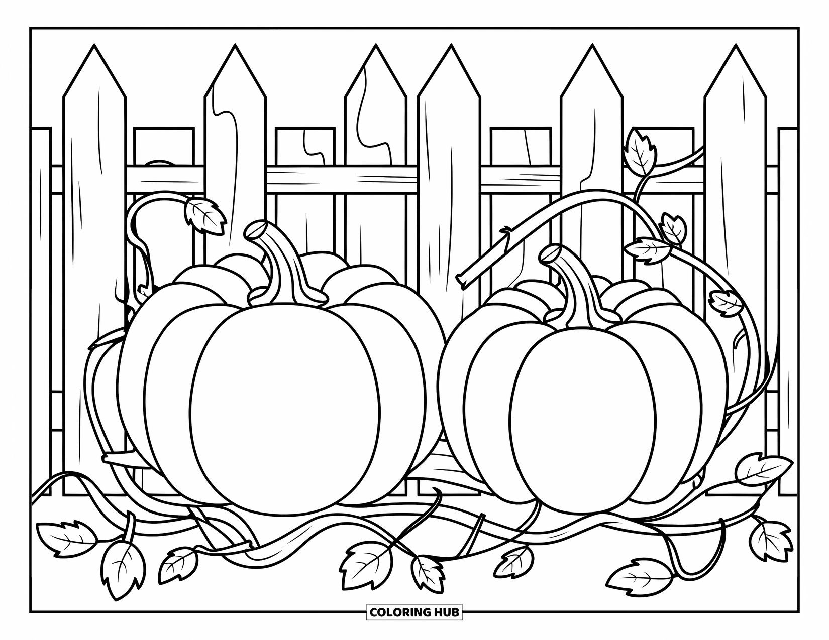 Pumpkin Patch Coloring Page for Kids: Large pumpkins grow on vines within a tidy wooden fence
