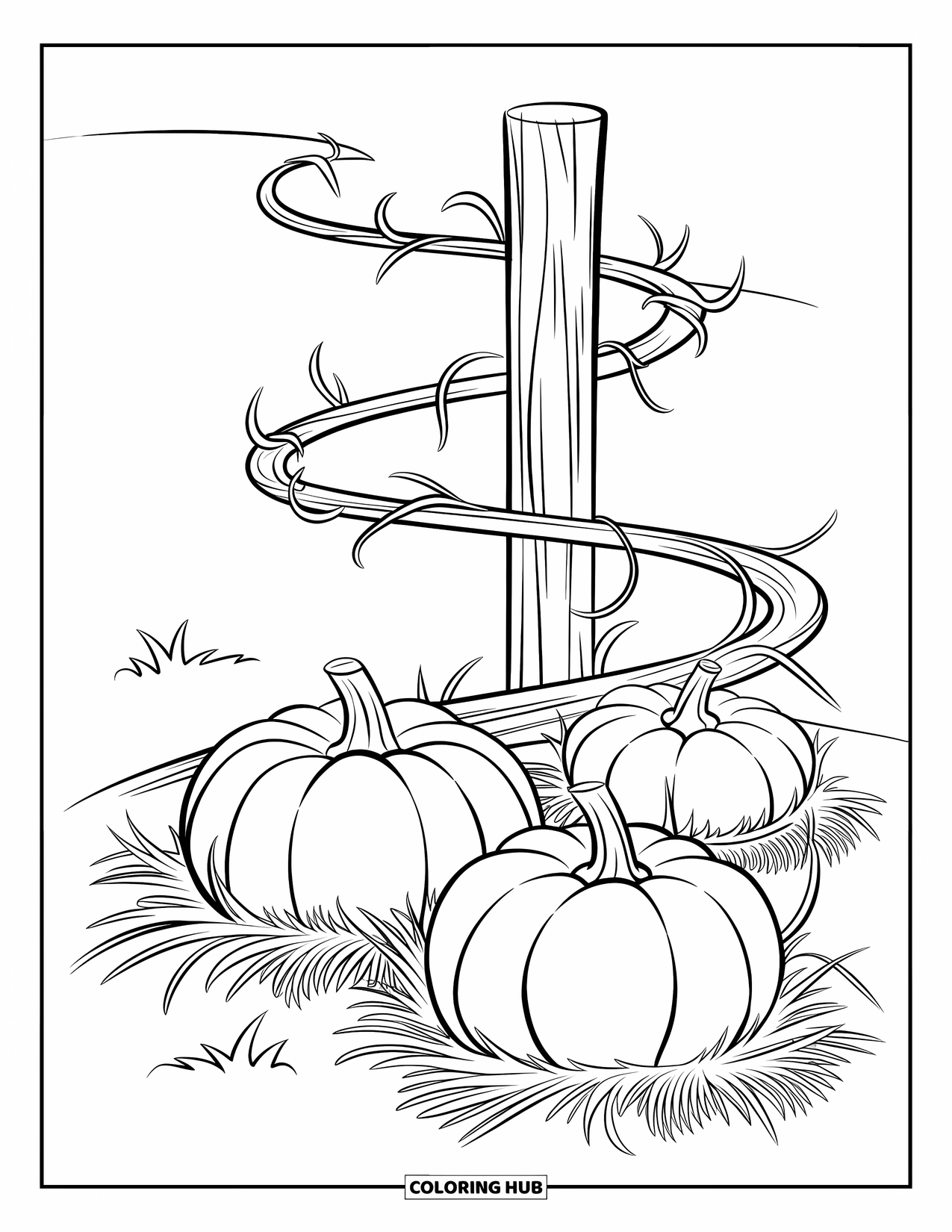 Pumpkin Patch Coloring Page for Kids: Three pumpkins nestled in straw under a twirling vine and post