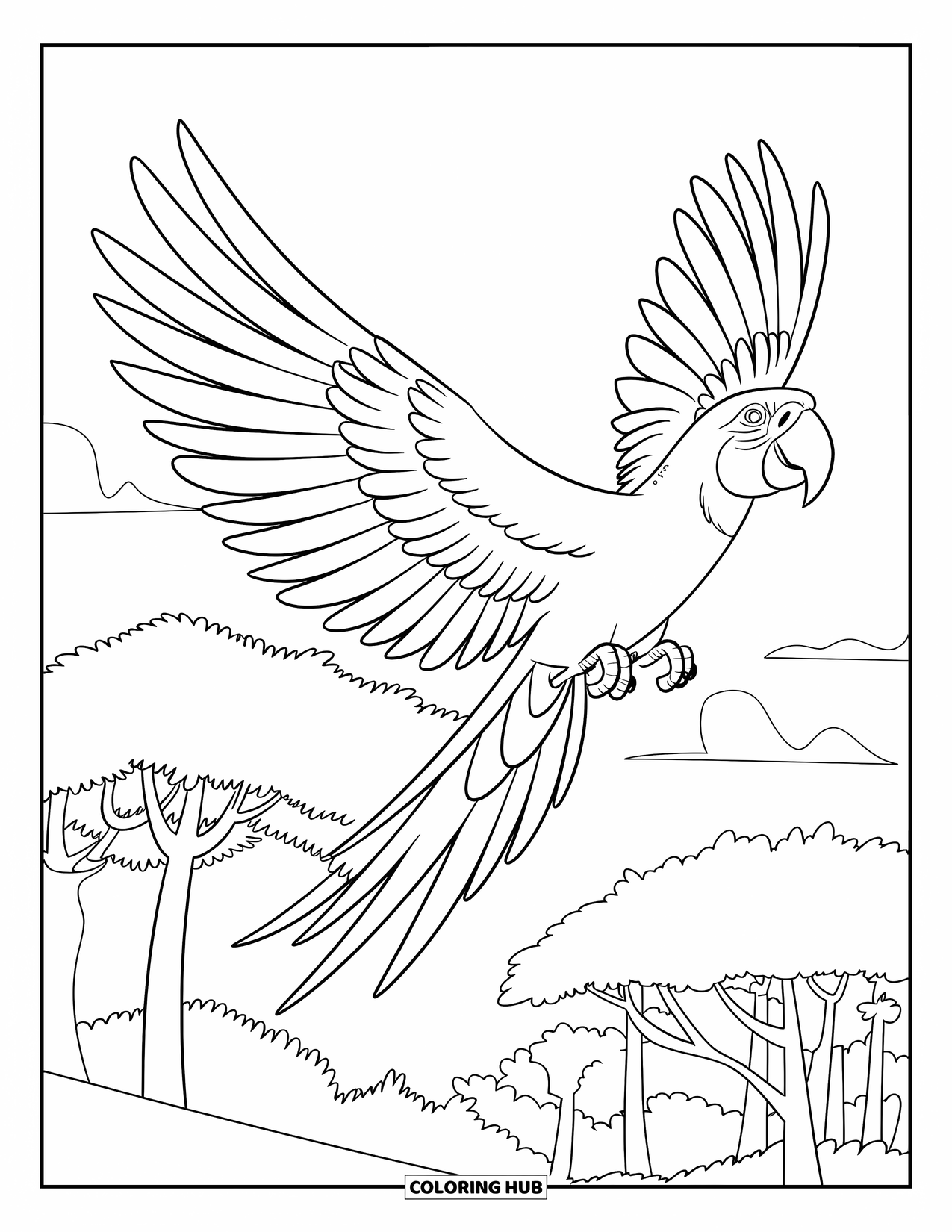 Rainforest Coloring Page for Kids: Macaw perched high, looking out over the leafy canopy