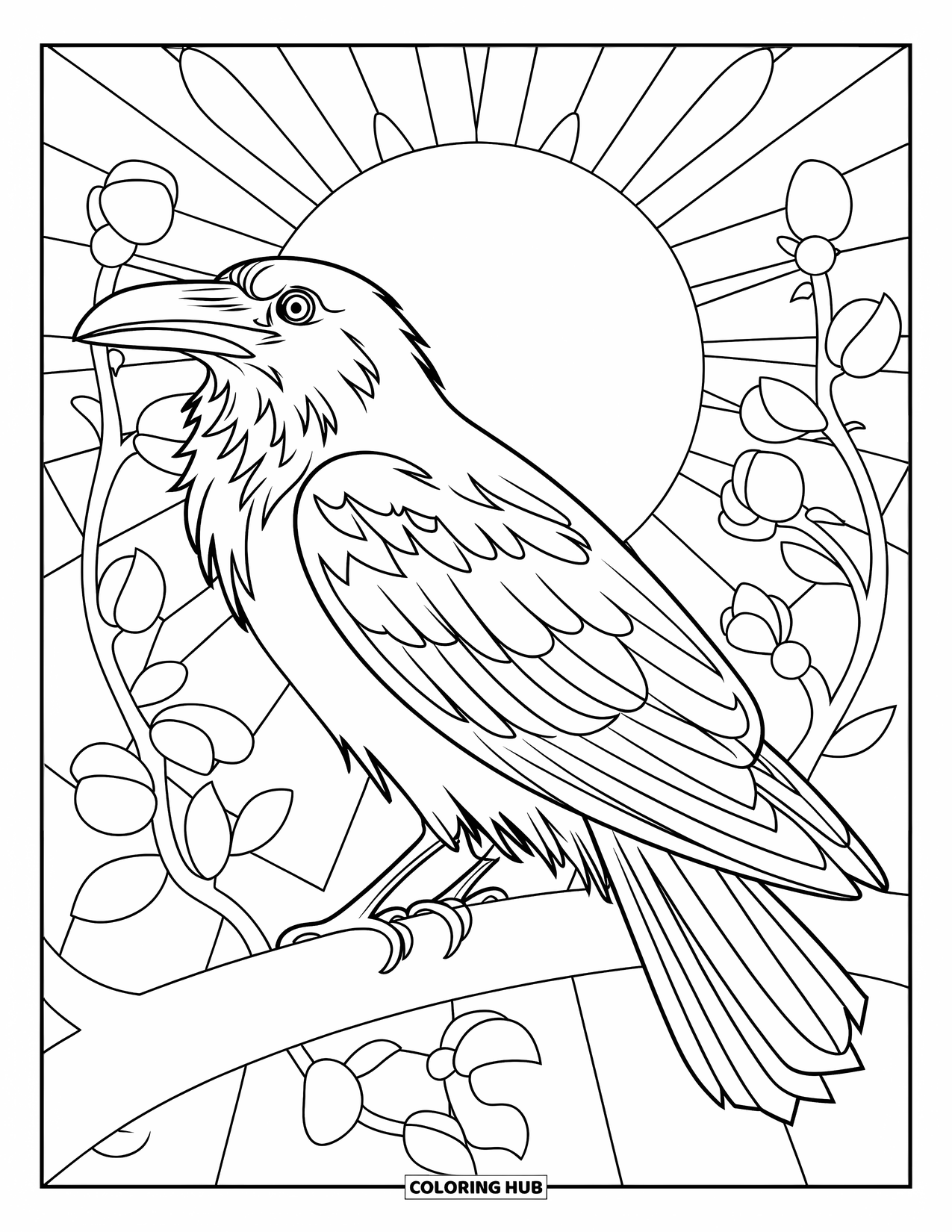 Raven Coloring Page for Adults: A calm raven sits on a branch with floral orbs and radiant sunbeams behind it