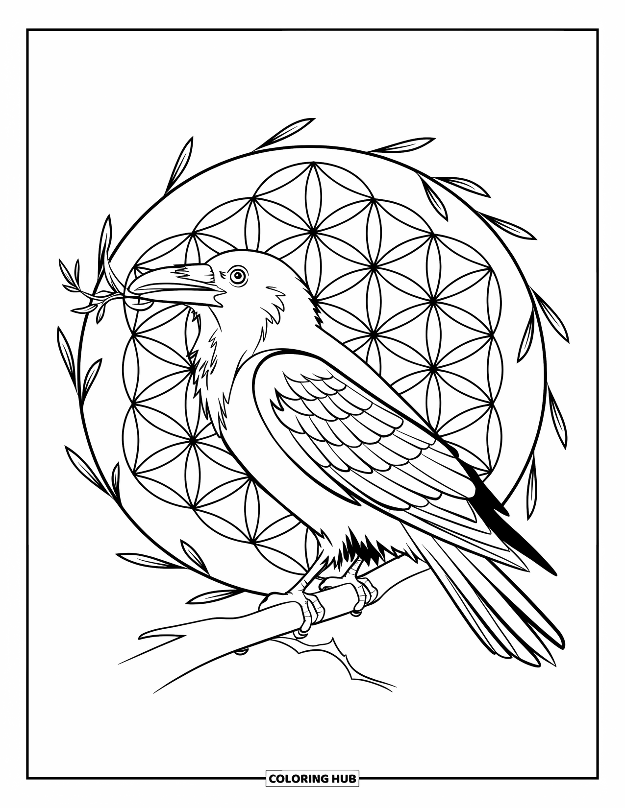 Raven Coloring Page for Adults: A raven holds a twig while perched over a spiraling flower-of-life pattern