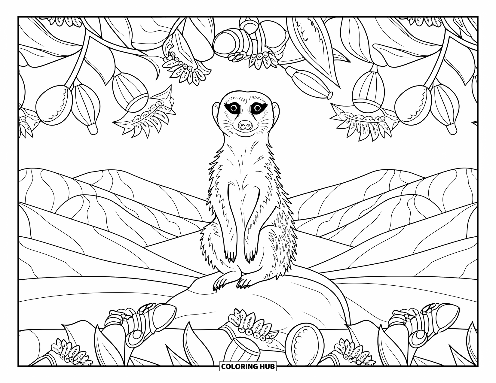 Safari Coloring Page for Adults: A peaceful meerkat rests on a desert rock, surrounded by ornate floral designs