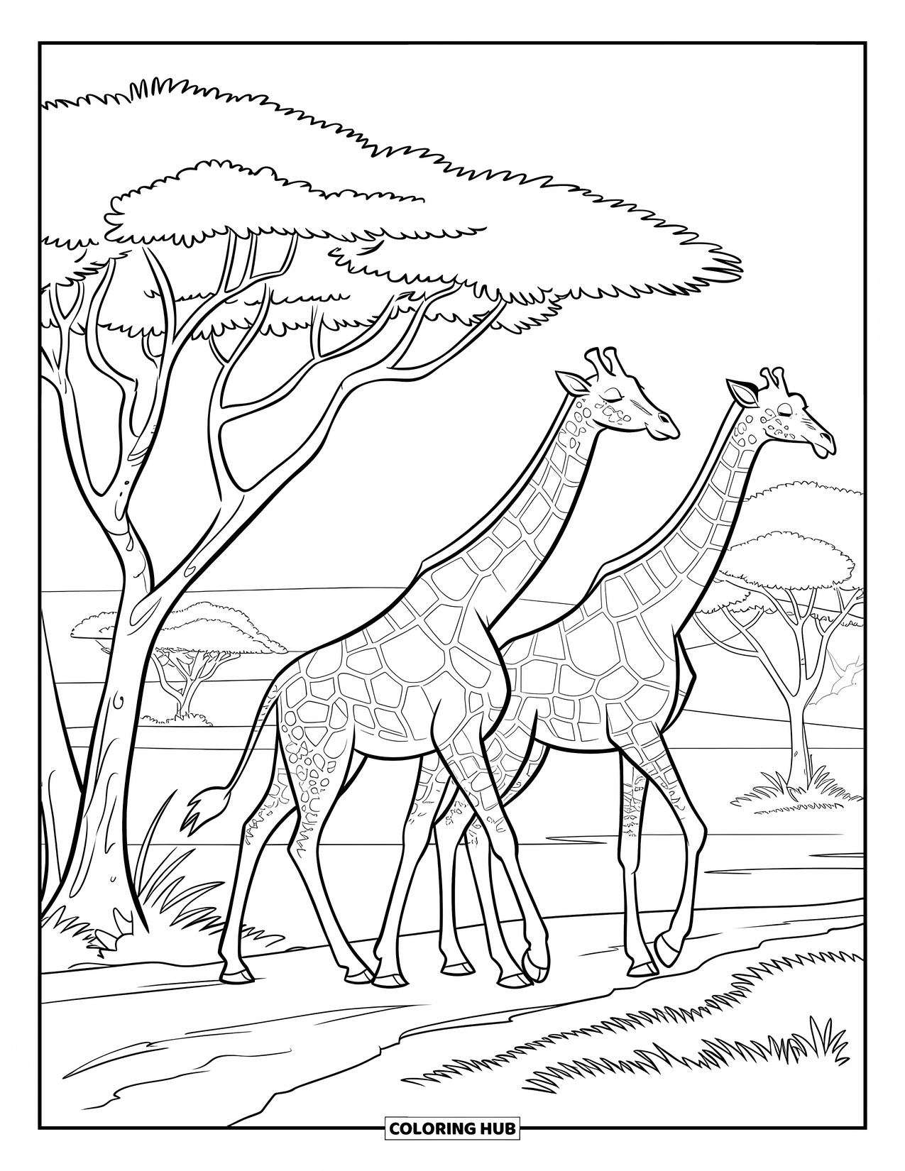 Safari Coloring Page for Kids: Giraffes with patterned coats walk along a dirt path in the savannah