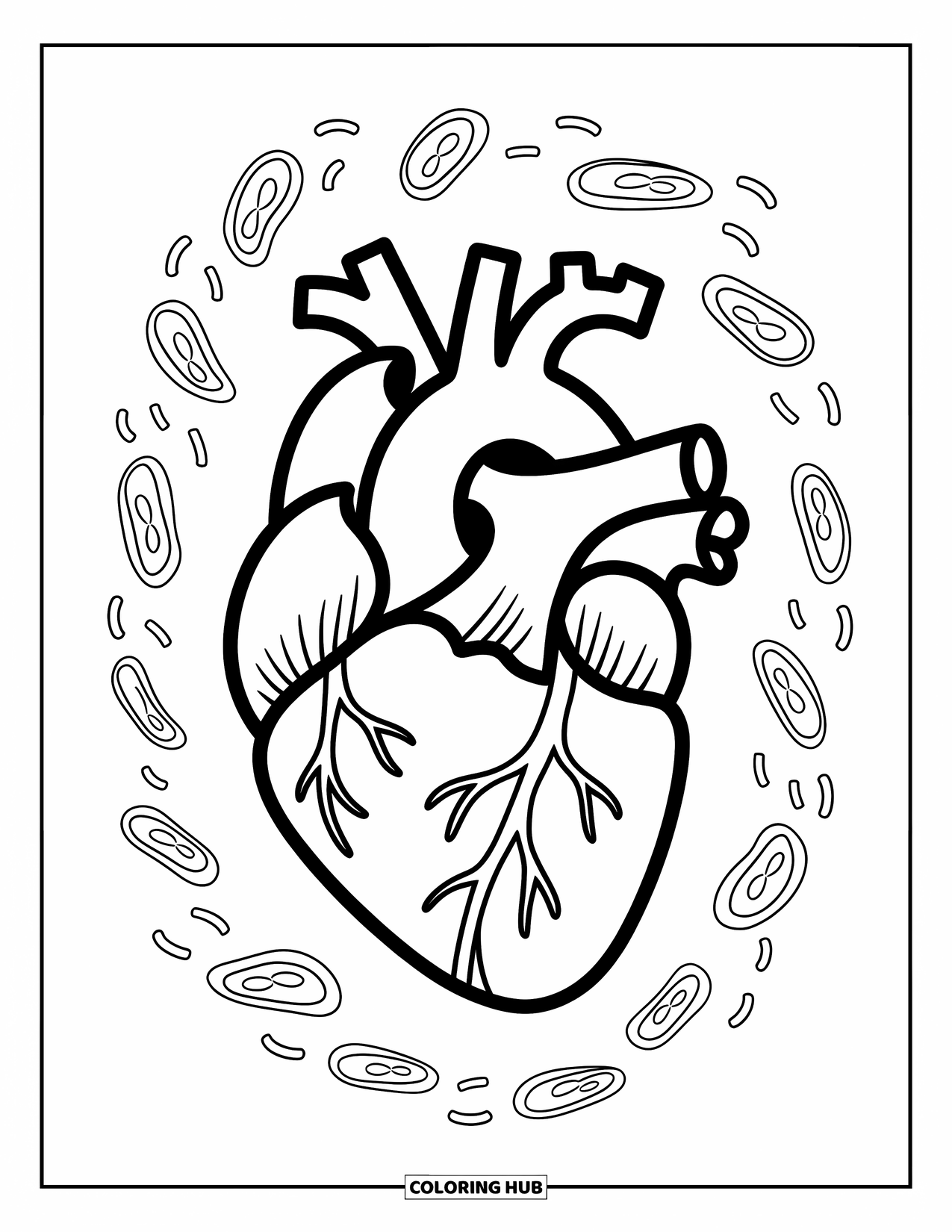 Science Coloring Page for Kids: Heart diagram shows veins and arteries with dancing cartoon blood cells around it