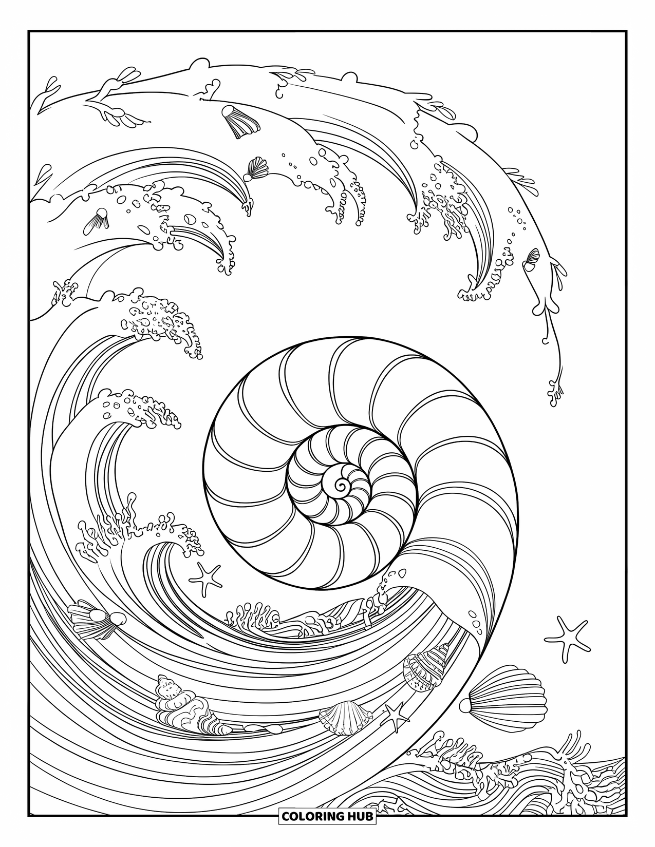 Seashell Coloring Page for Adults: A bold spiral shell is wrapped in swirling mandala waves and tiny details
