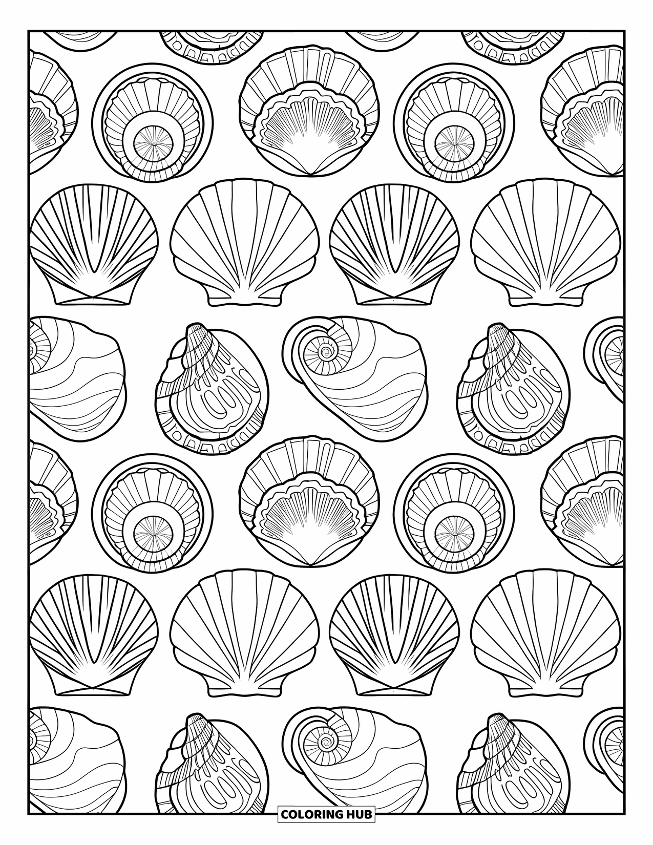 Seashell Coloring Page for Adults: Spiral and scallop shells alternate in a circular layout for easy coloring