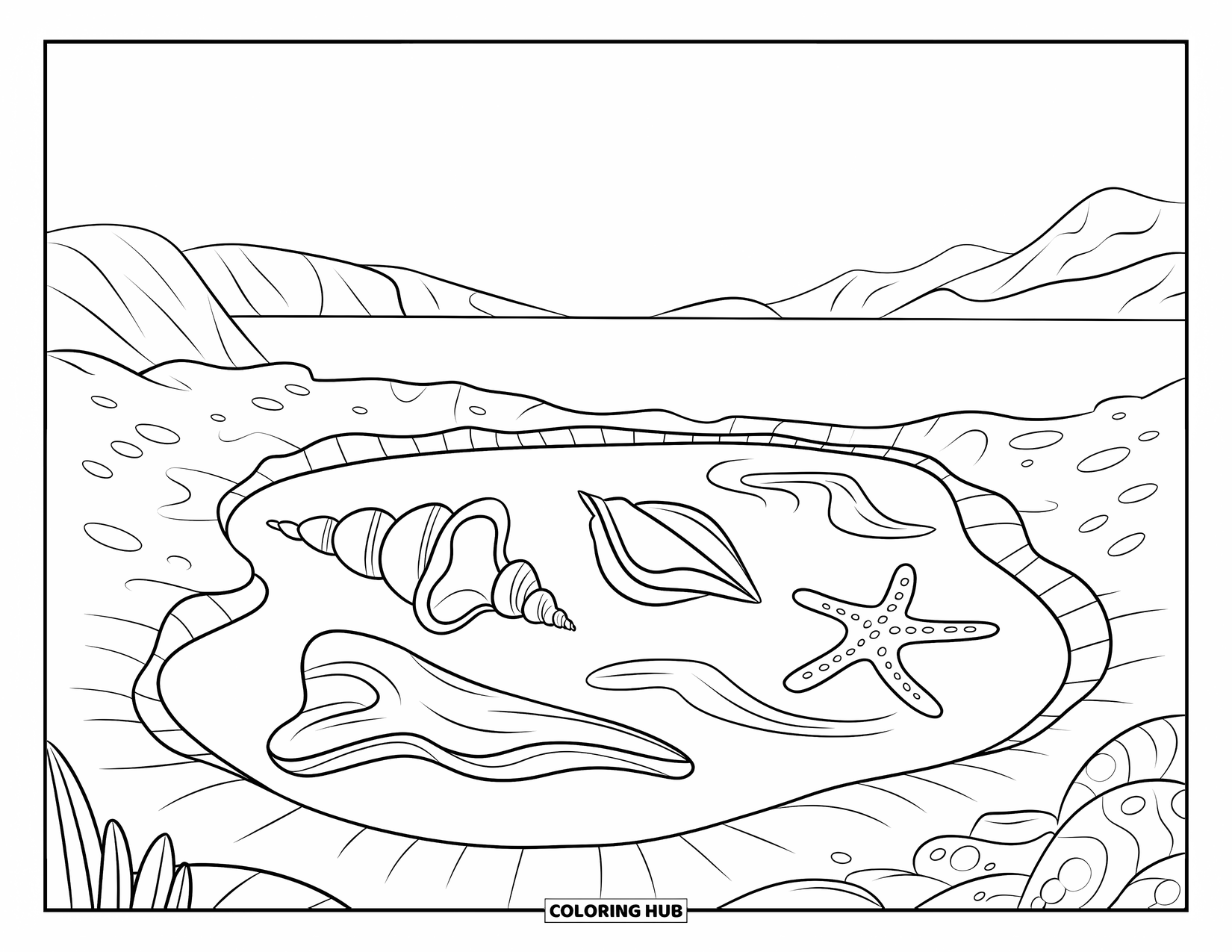 Seashell Coloring Page for Kids: A tide pool holds shells, a starfish, and curved driftwood