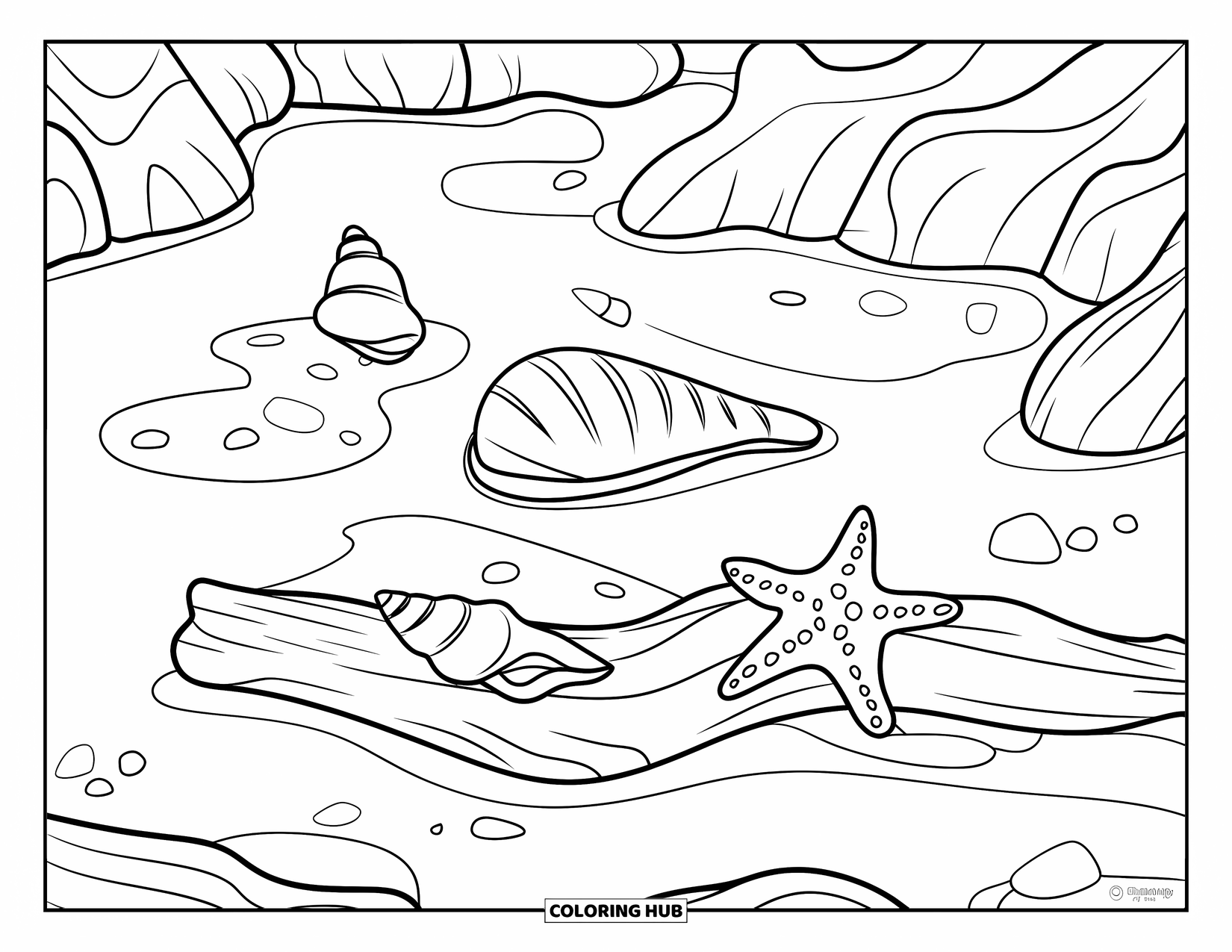 Seashell Coloring Page for Kids: A tide pool with a starfish and shells sits among coastal rocks