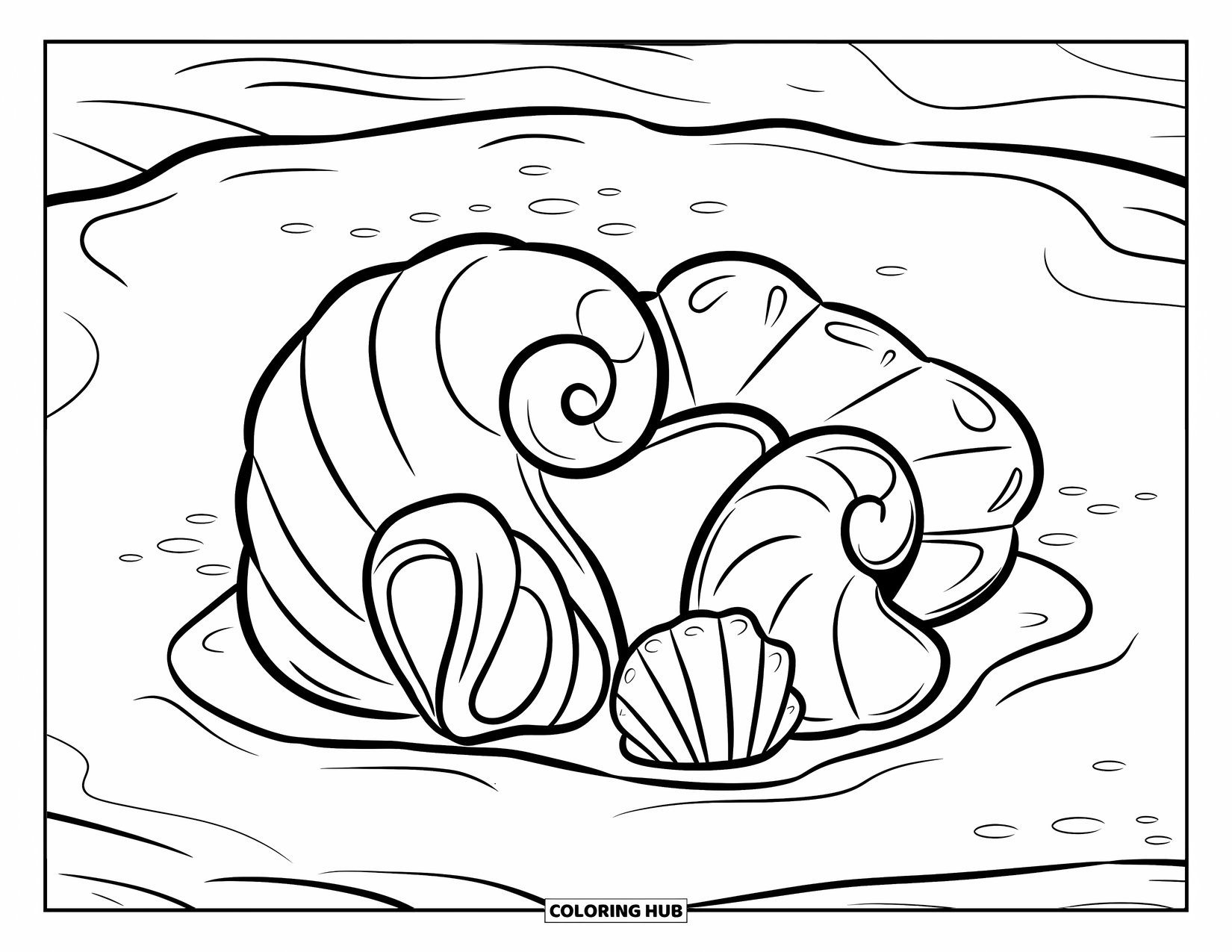 Seashell Coloring Page for Kids: Spiral and cone shells lie together in a shallow, sandy spot