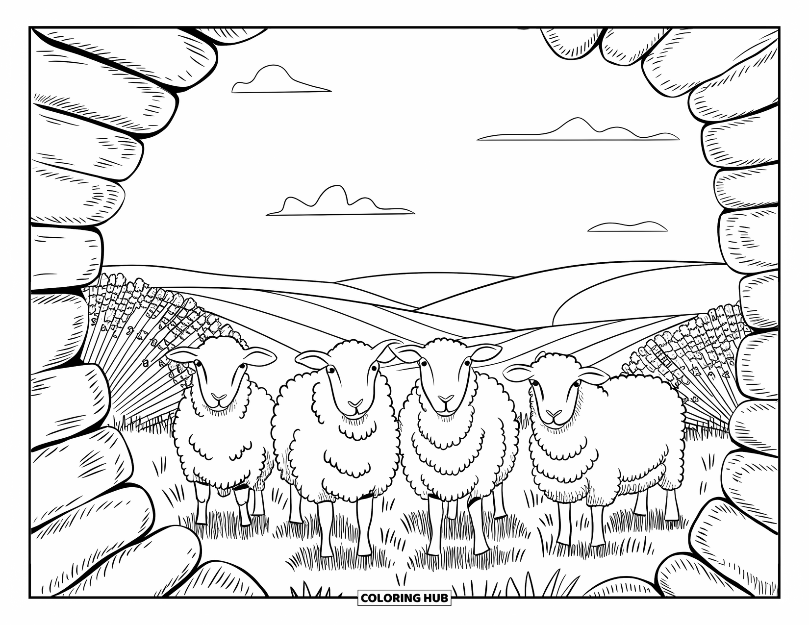 Sheep Coloring Page for Adults: Sheep gather in a field with rolling hills and soft clouds overhead