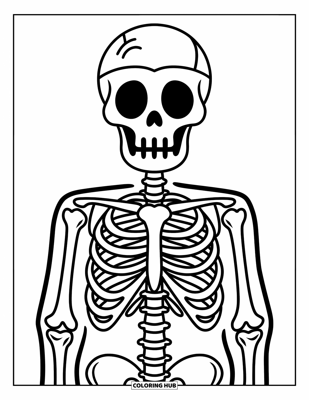 Skeleton Coloring Page for Kids: Front-facing skeleton with bold bones and a white background