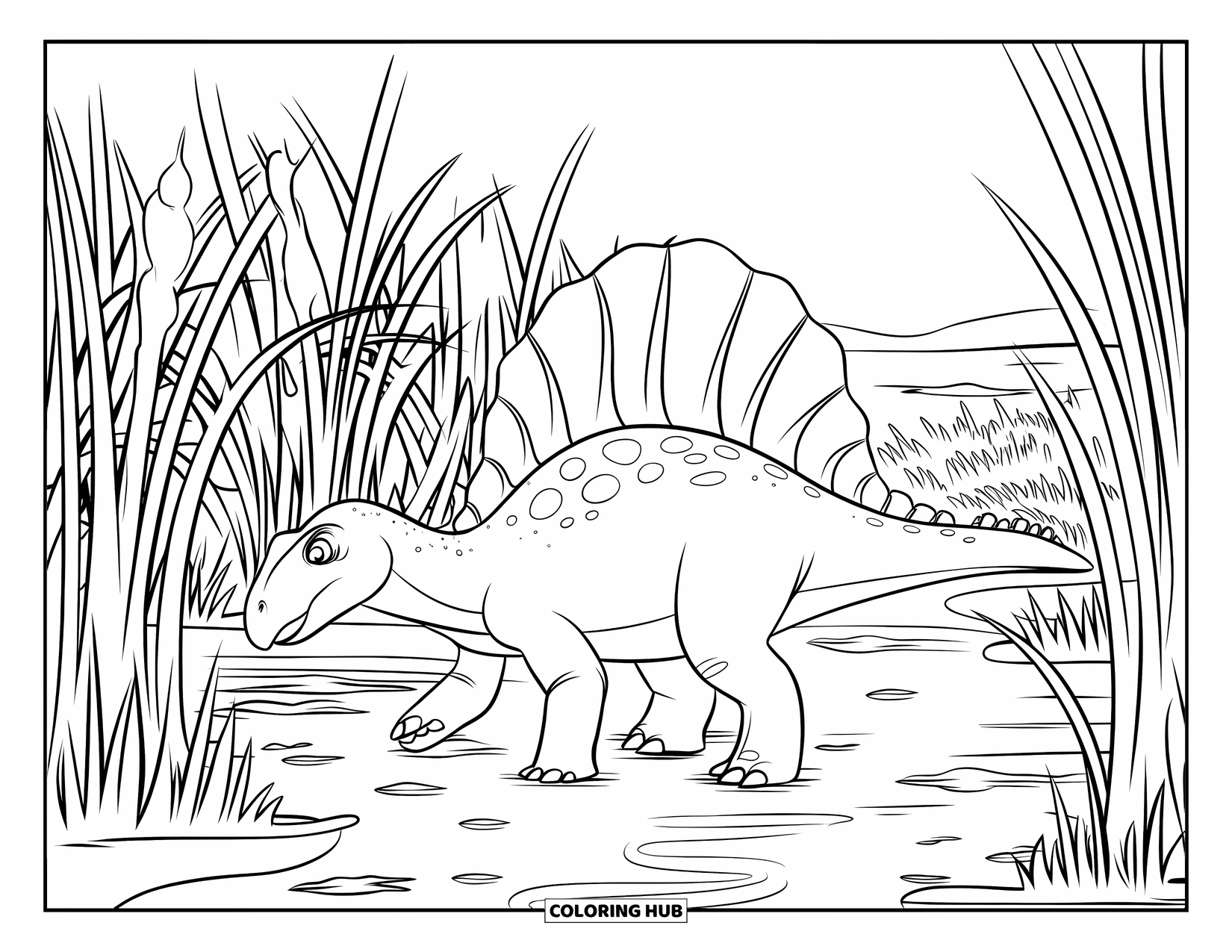 Spinosaurus Coloring Page for Kids: Spinosaurus steps through swampy grassland with a muddy trail behind