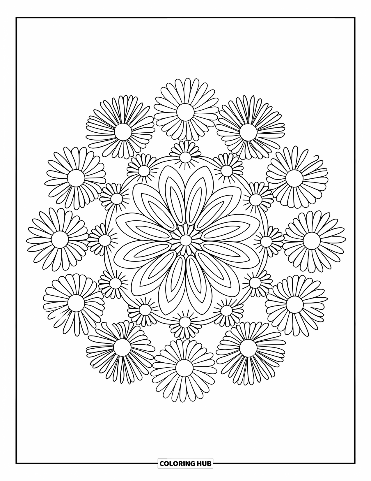 Spring Flowers Coloring Page for Adults: A floral mandala of daisy and chrysanthemum petals sits on white