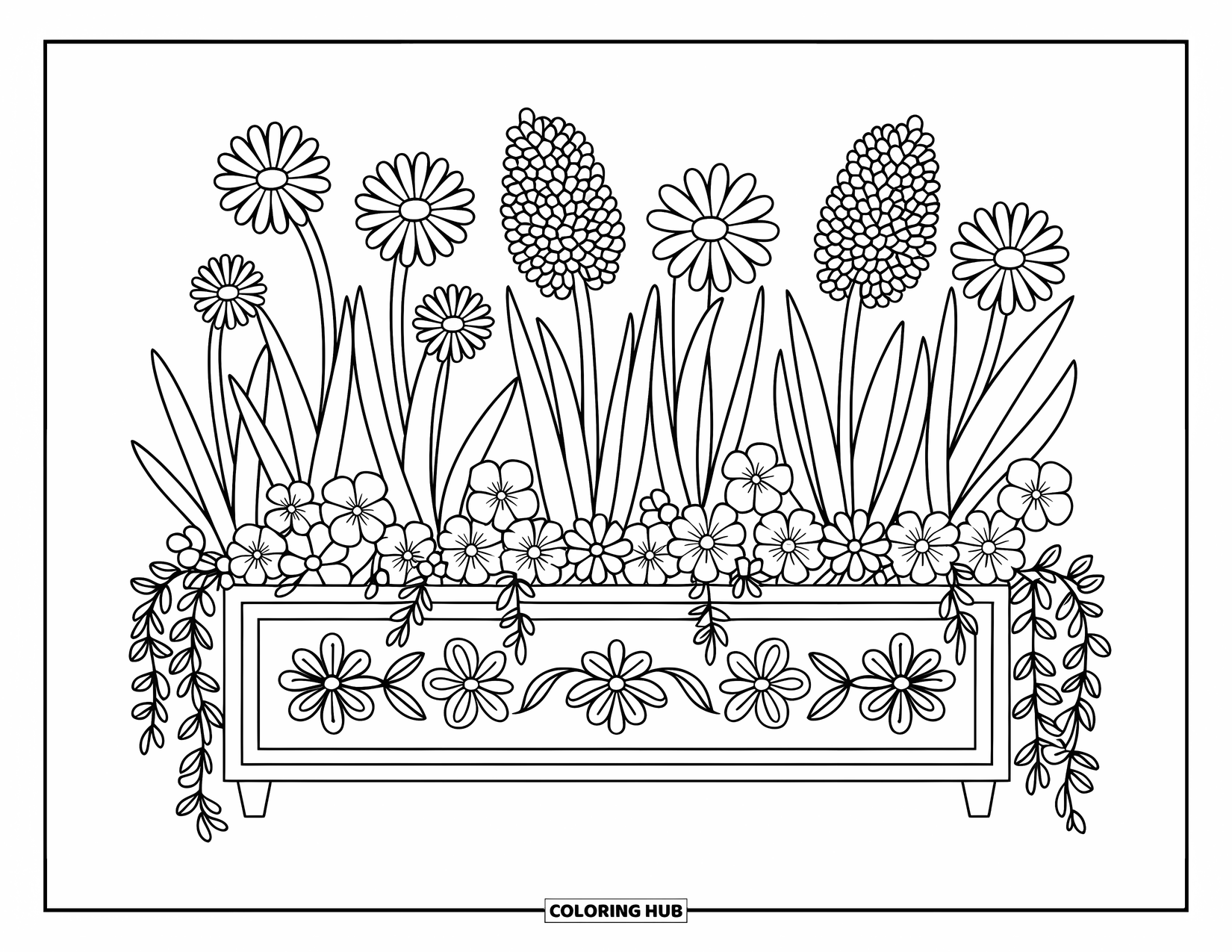 Spring Flowers Coloring Page for Adults: A wooden window box overflows with daisies, hyacinths, and pansies