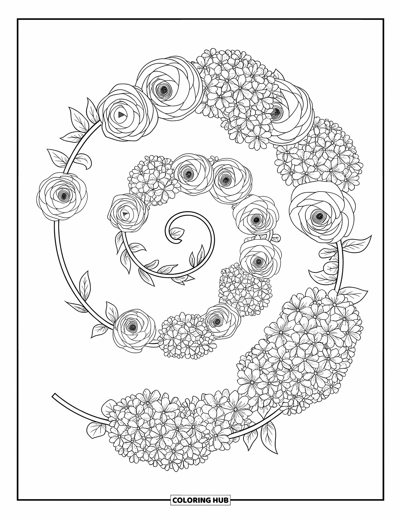 Spring Flowers Coloring Page for Adults: Ranunculus and hydrangeas swirl in a tight, leafy spiral pattern