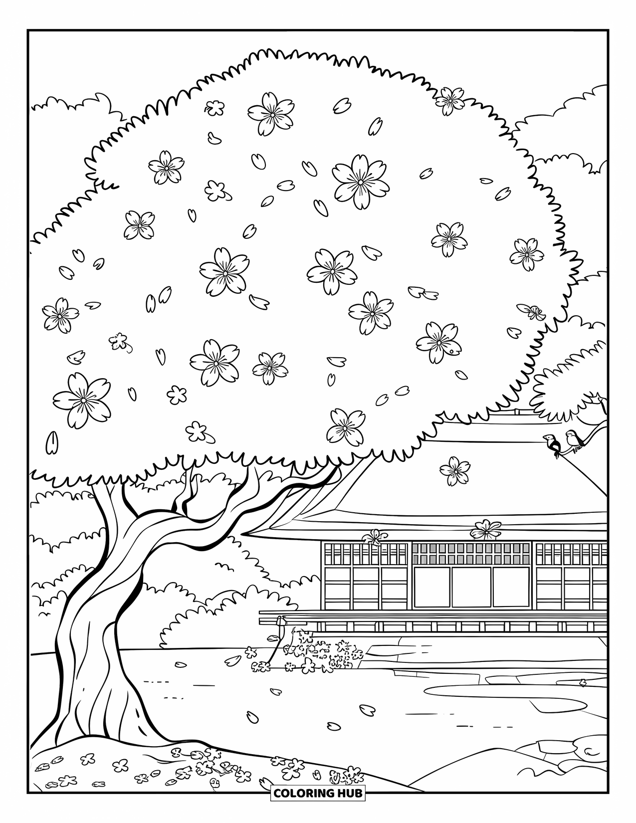 Spring Flowers Coloring Page for Kids: A cherry blossom tree stands by a thatched roof with petals on the ground