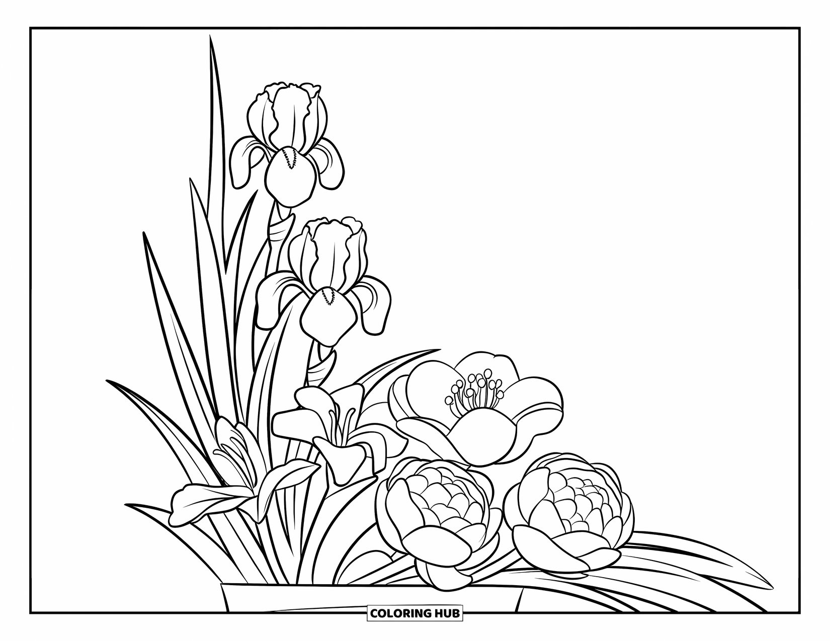 Spring Flowers Coloring Page for Kids: A vase holds iris, lily, and peony flowers with clean, bold outlines