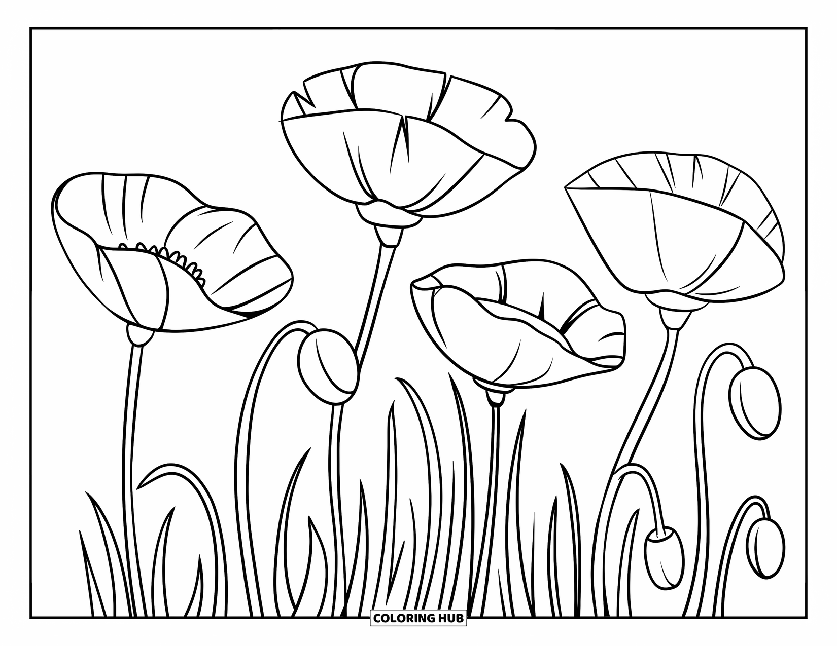 Spring Flowers Coloring Page for Kids: Curved poppy stems support full blooms in a line on white