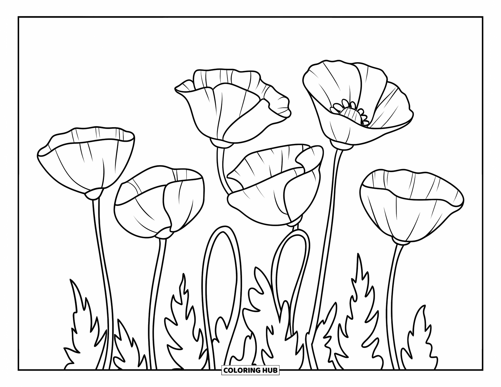 Spring Flowers Coloring Page for Kids: Four poppies of different heights bloom in a simple, clean design