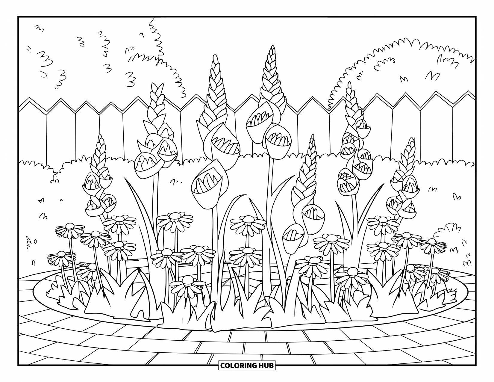 Spring Flowers Coloring Page for Kids: Gladiolus and daisies bloom near a path and a fence with trees behind