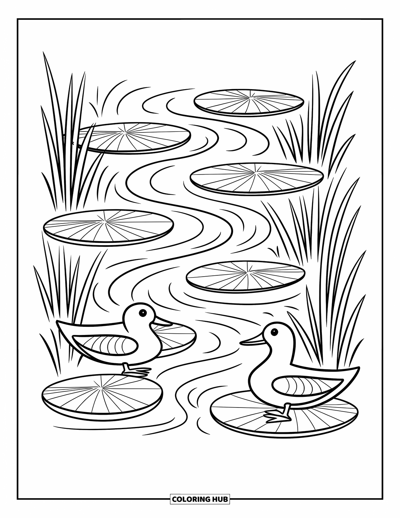 Stress Relief Coloring Page for Kids: Ducks float along a stream surrounded by lily pads