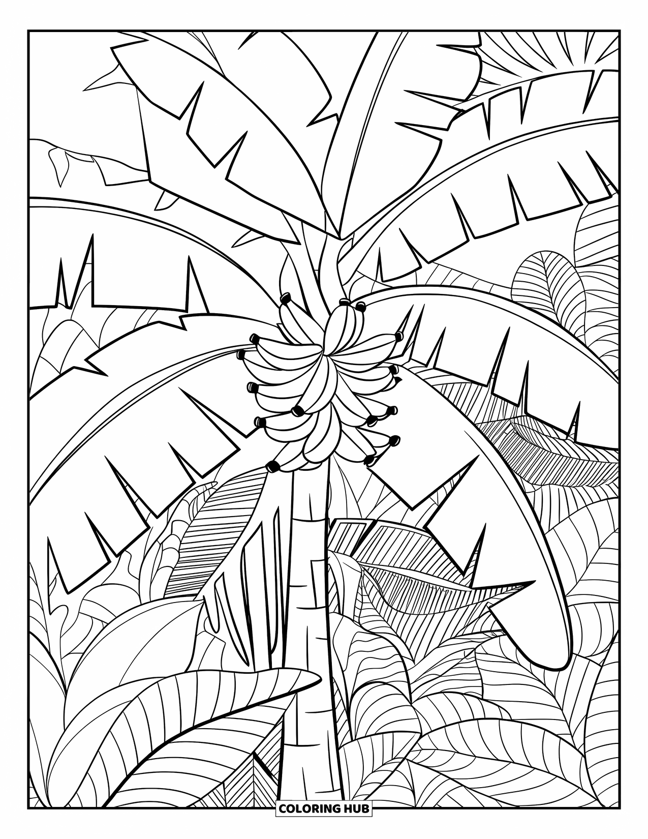 Tropical Coloring Page for Adults: Banana tree with patterned leaves and bold tropical foliage