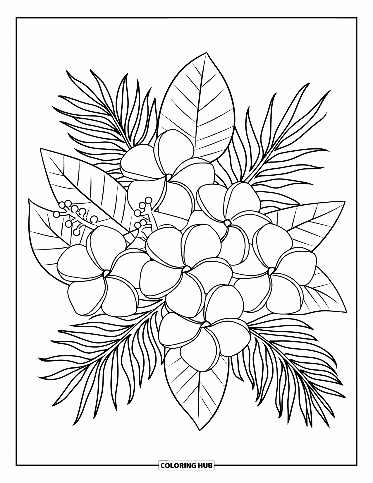 Tropical Coloring Page for Kids: Cluster of plumeria and hibiscus flowers surrounded by big tropical leaves