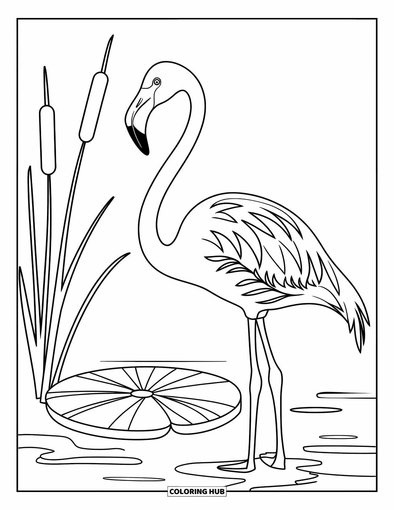 Tropical Coloring Page for Kids: Flamingo on one leg beside a lily pad and tall cattails
