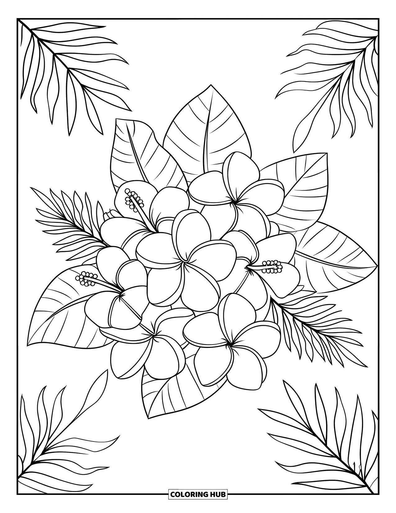 Tropical Coloring Page for Kids: Plumeria and hibiscus flowers with leafy accents in a tropical arrangement